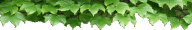 �o�i�[