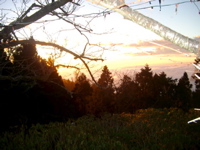 IMGP6424.JPG