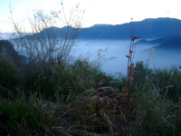 IMGP6455.JPG