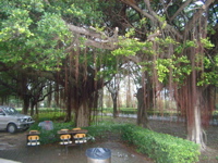 IMGP6491.JPG