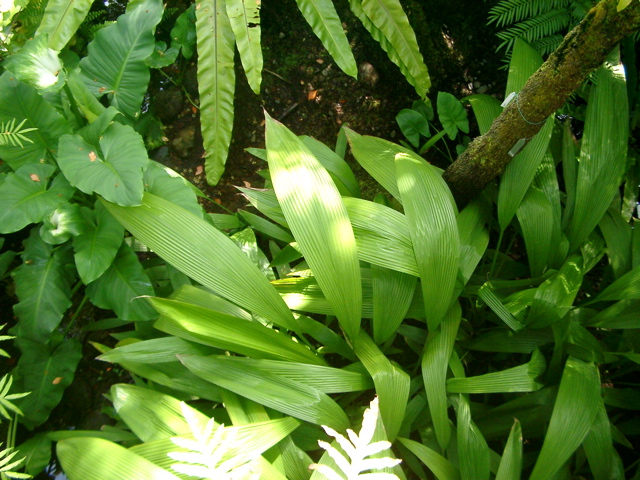 IMGP6704.JPG