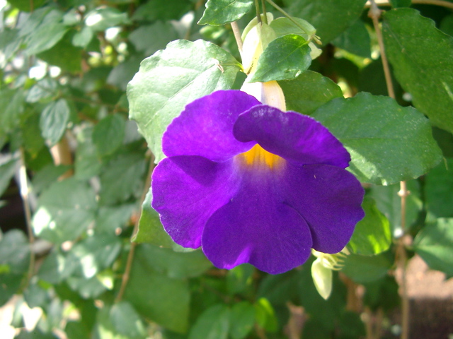 IMGP6722.JPG