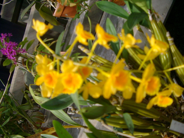 IMGP6729.JPG