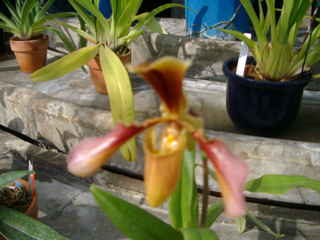 IMGP6734.JPG