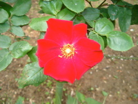 IMGP6688.JPG