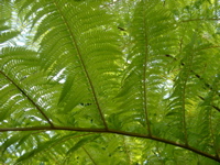 IMGP6701.JPG