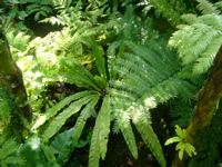 IMGP6702.JPG