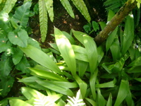 IMGP6703.JPG