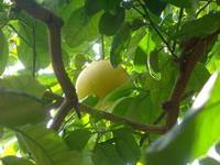 IMGP6707.JPG