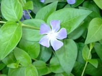 IMGP6690.JPG