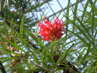 IMGP6708.JPG
