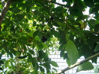 IMGP6713.JPG