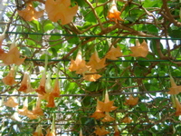 IMGP6714.JPG