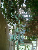 IMGP6715.JPG