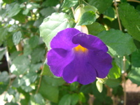 IMGP6722.JPG