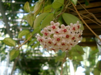 IMGP6724.JPG