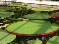 IMGP6727.JPG