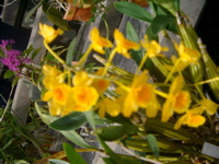 IMGP6729.JPG