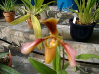 IMGP6734.JPG