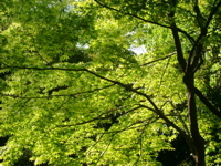 IMGP6739.JPG