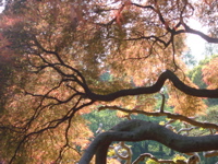 IMGP6744.JPG