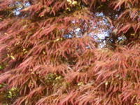 IMGP6746.JPG