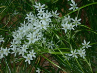 IMGP6750.JPG