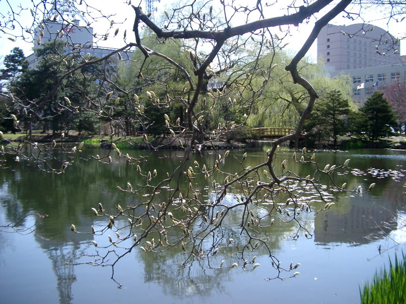 IMGP0892
