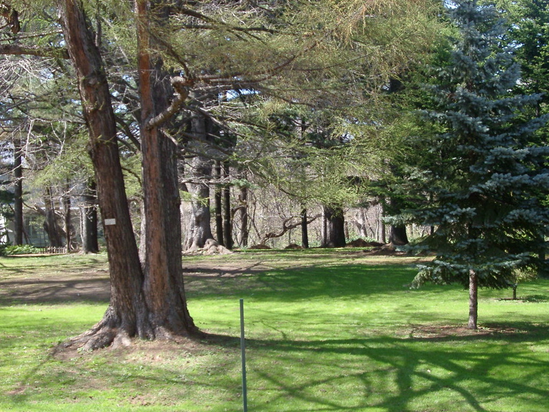 IMGP0897