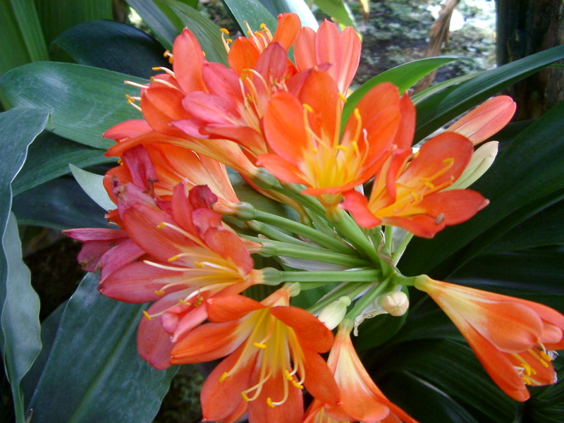 IMGP0903