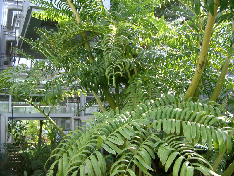 IMGP0907