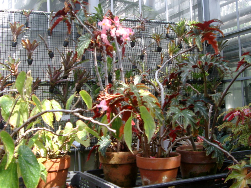 IMGP0911
