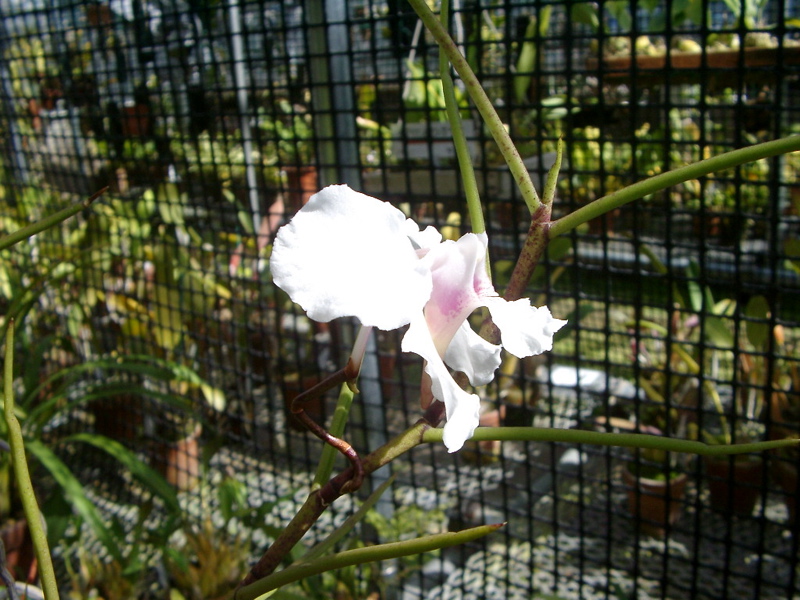 IMGP0925