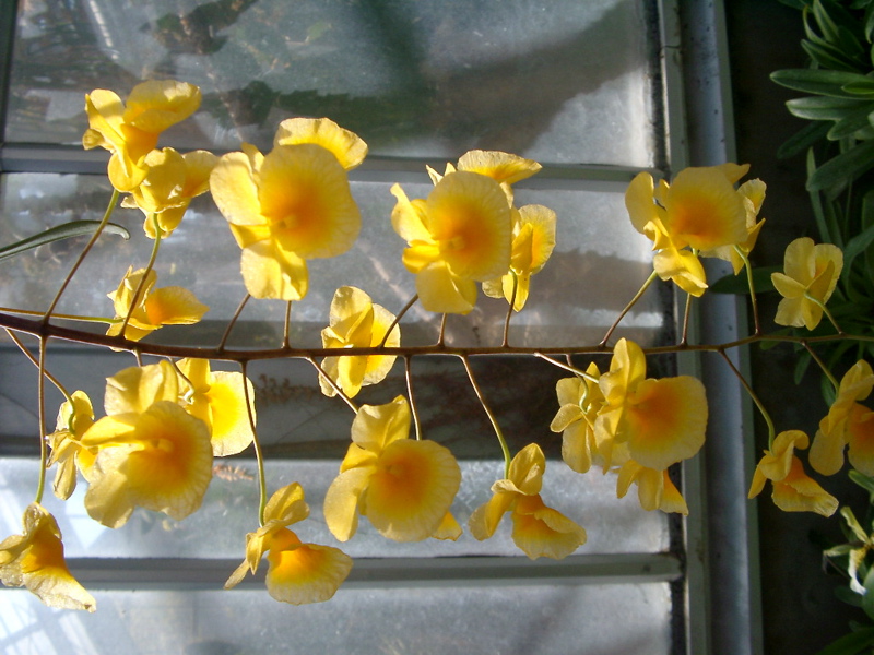 IMGP0928