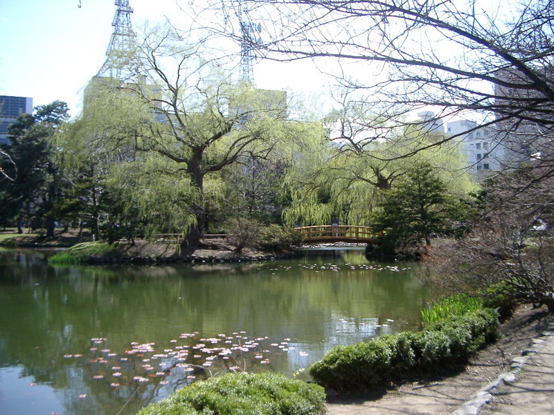 IMGP0887