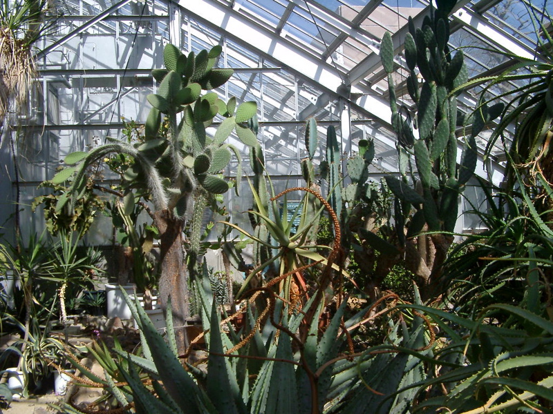 IMGP0936