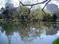 IMGP0892