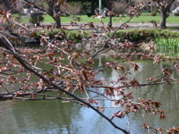 IMGP0893