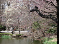 IMGP0894
