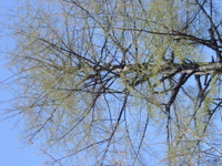IMGP0895