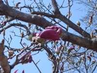 IMGP0896
