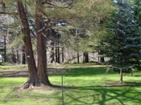 IMGP0897
