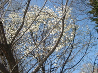 IMGP0884