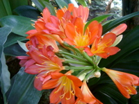 IMGP0903