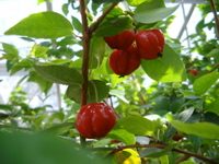 IMGP0904