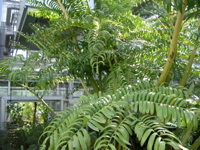 IMGP0907