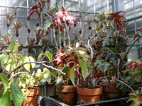 IMGP0911