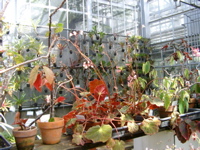 IMGP0912