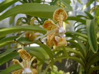 IMGP0919