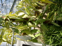 IMGP0921
